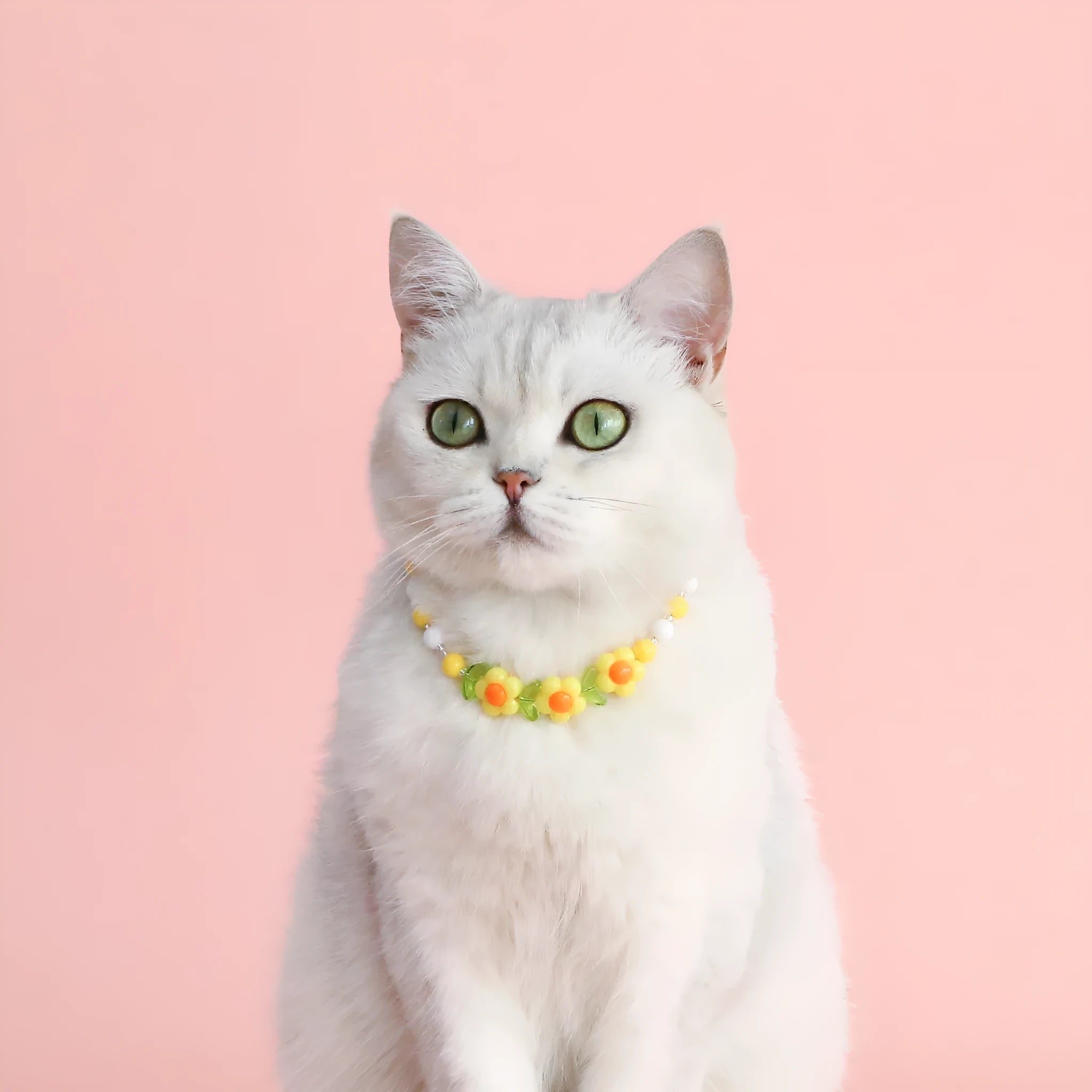 Colourful plastic pearl pet necklace for cats with small flower bead design and adjustable sizing