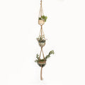 Woven wire plant basket holder with cotton rope construction in desktop and wall hanging styles