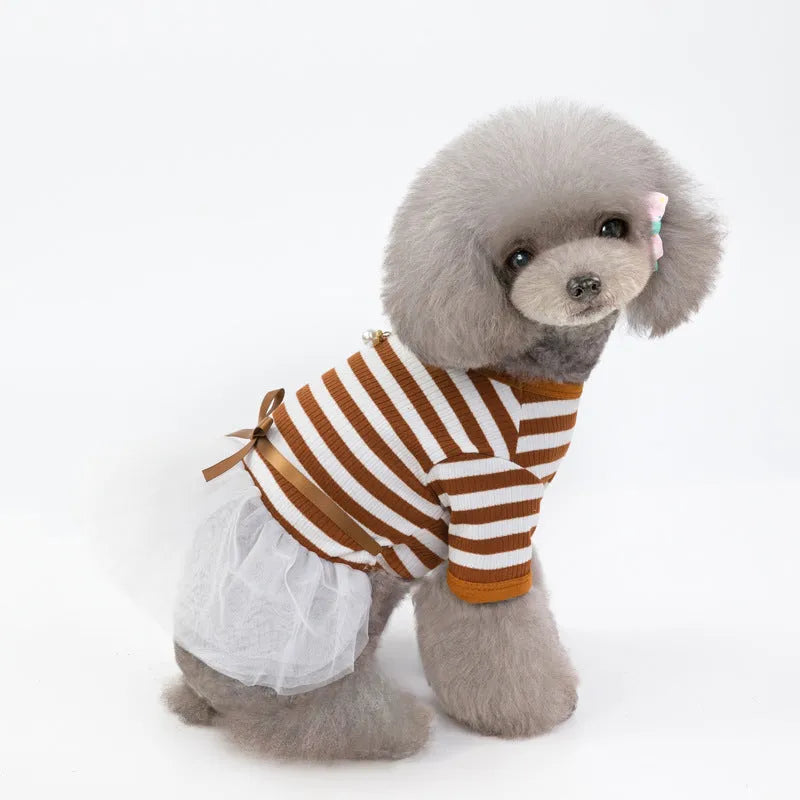 Bears Teddy cotton pet skirt for female dogs in coffee colour