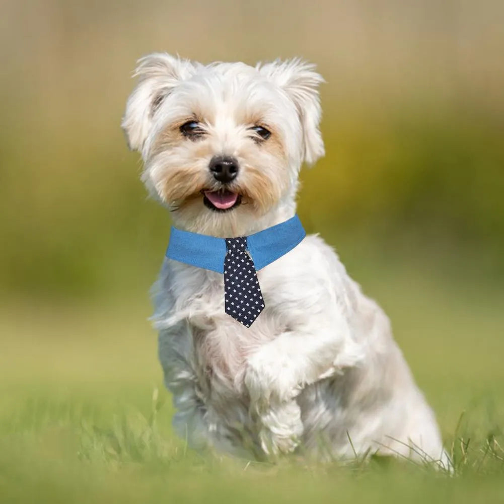Blue denim adjustable dog collar with a black bow tie featuring white star patterns.