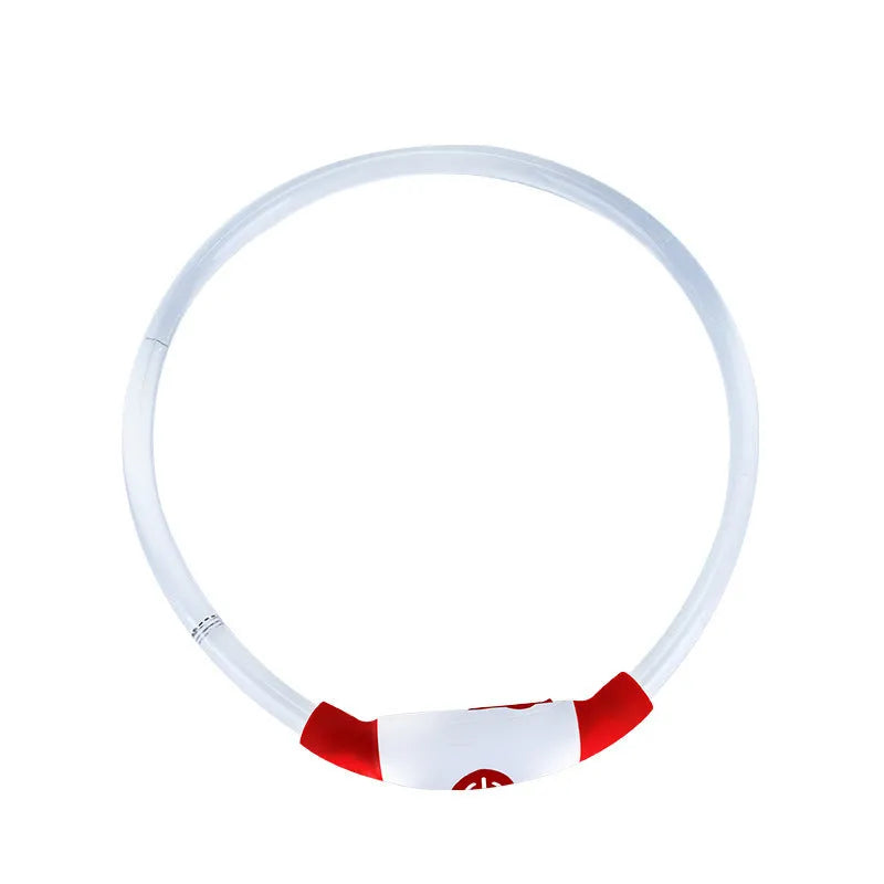 Blue USB rechargeable LED dog collar glowing around a dog's neck at night.