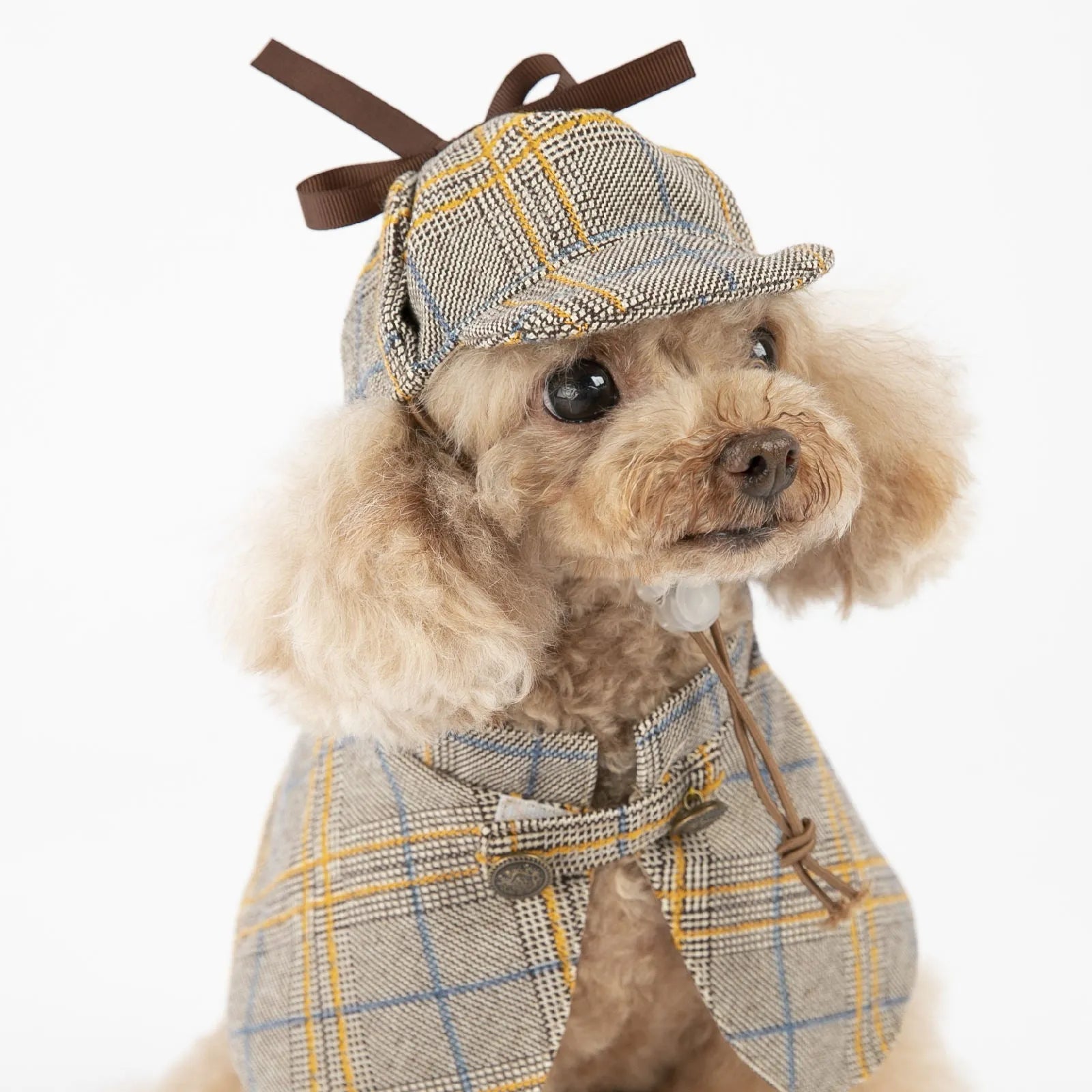 Camel coloured personalised cotton cloak for a dog with an adjustable hood.