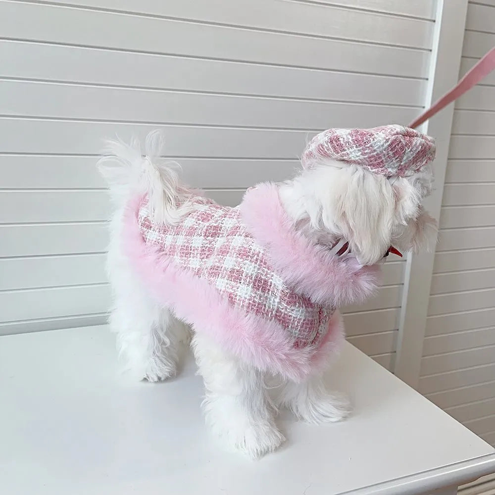 Pink cat wearing a beret and a cloak with a hand holding rope attached.