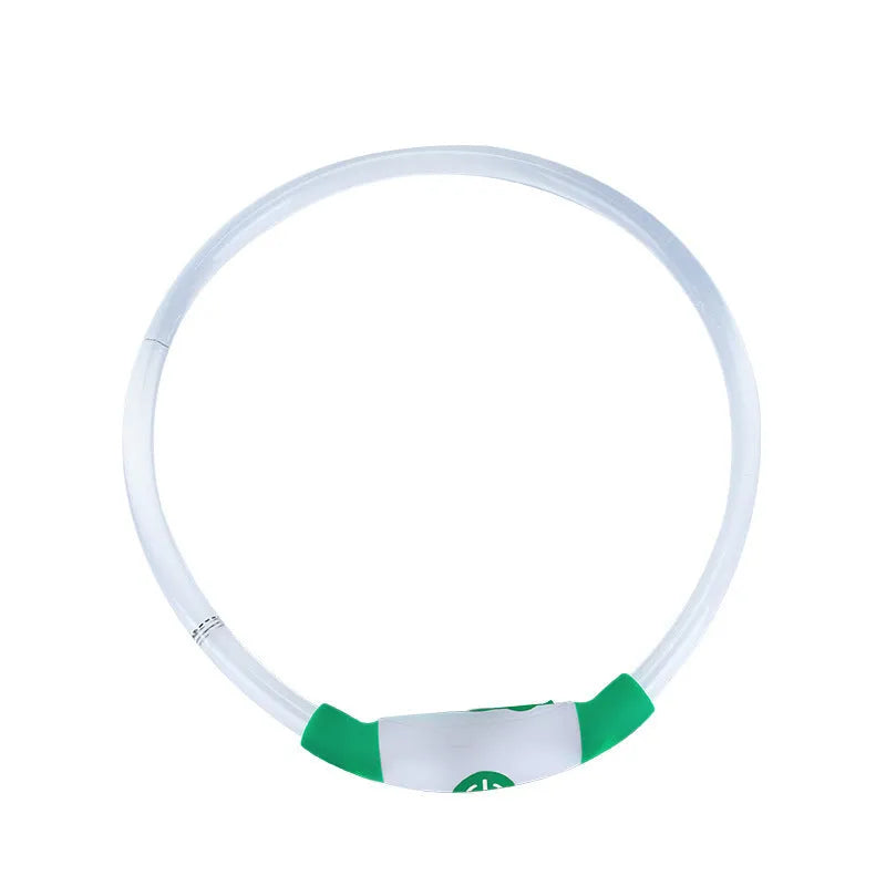 Blue USB rechargeable LED dog collar glowing around a dog's neck at night.