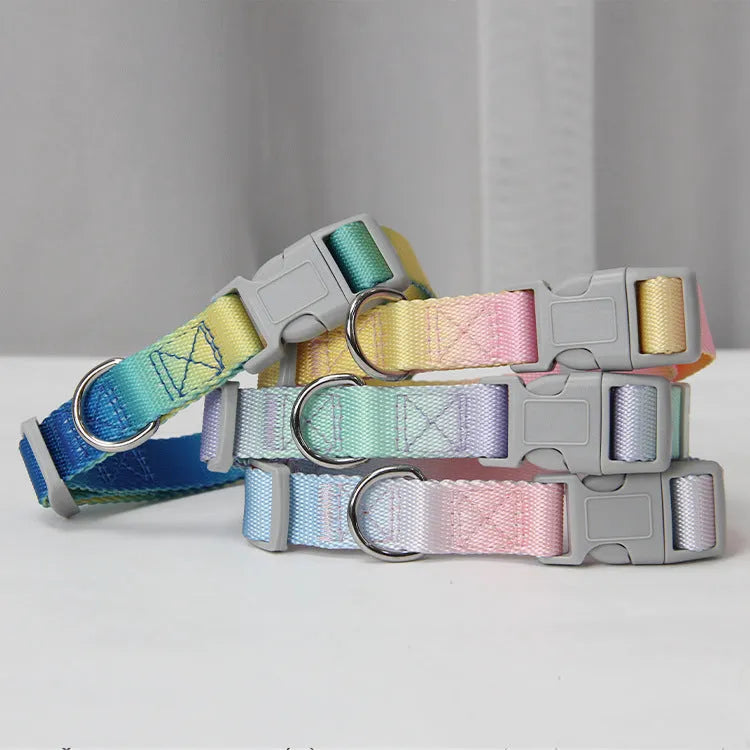 Nylon dog leash and collar set showing pink and blue gradient colour option.