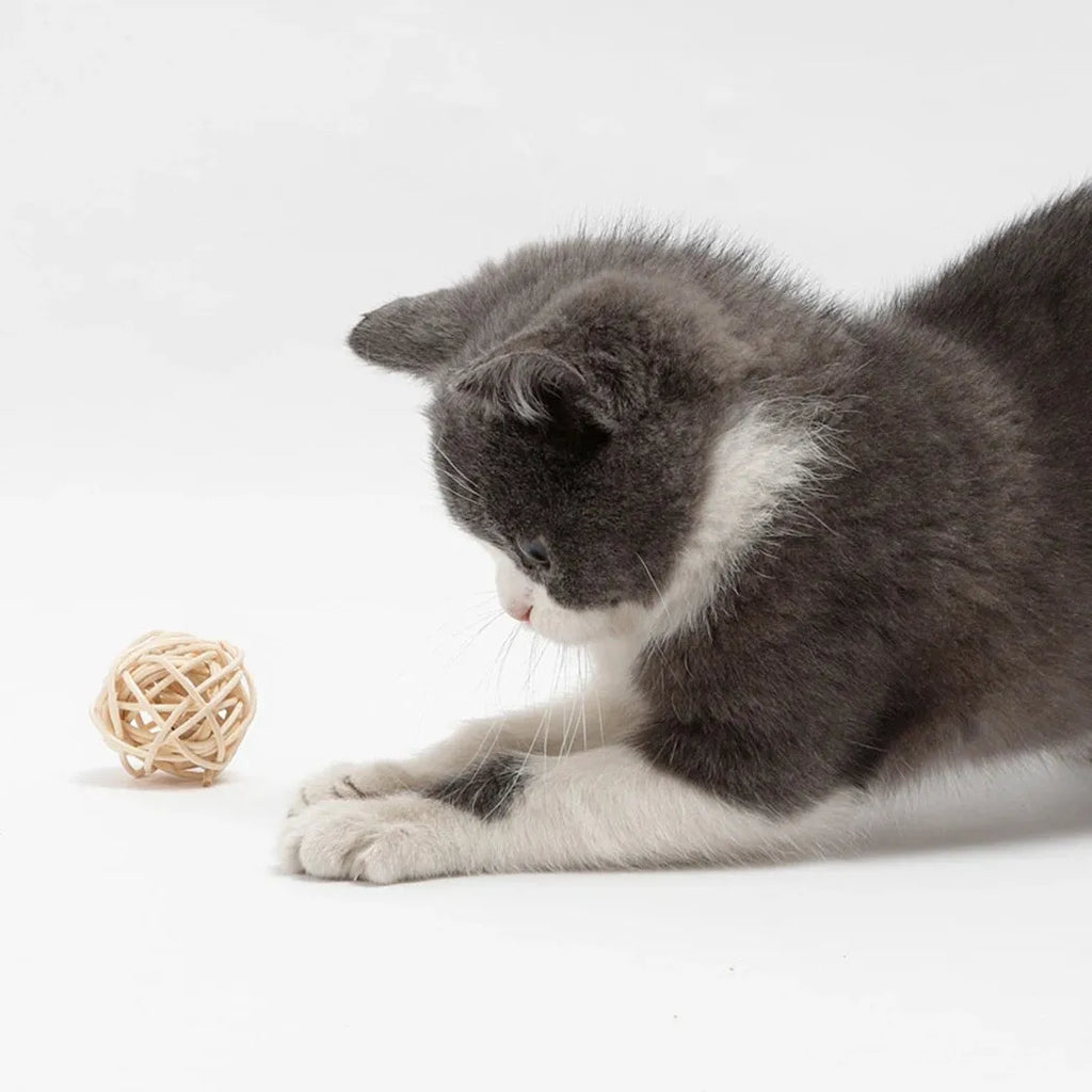 Cat toy set showing rattan ball and faux feather ball with bell for interactive play