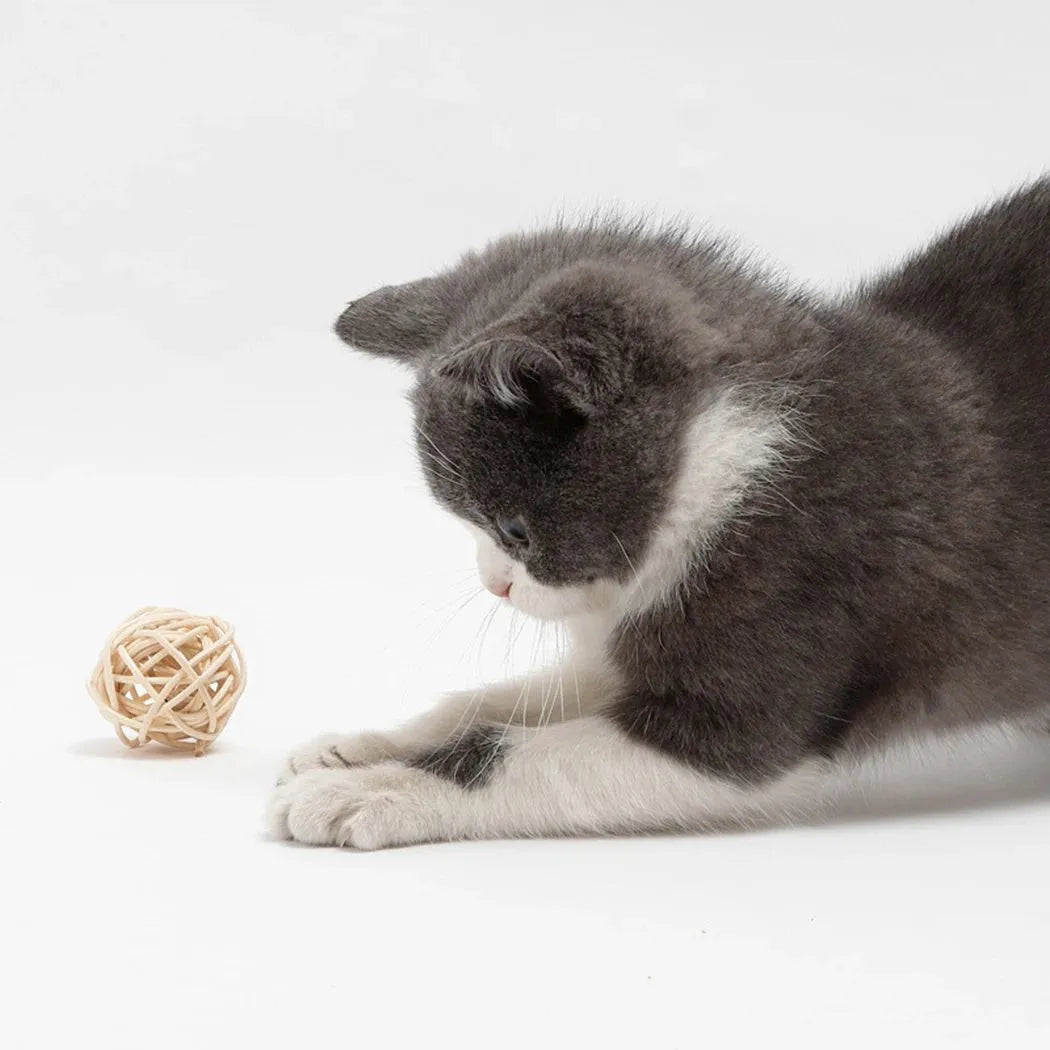 Cat toy set showing rattan ball and faux feather ball with bell for interactive play