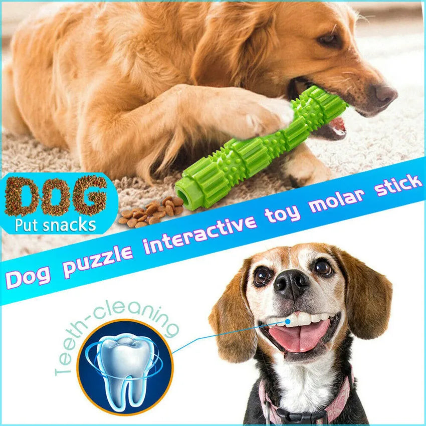 Green natural rubber dog chew toy with textured surface and treat-dispensing hole.