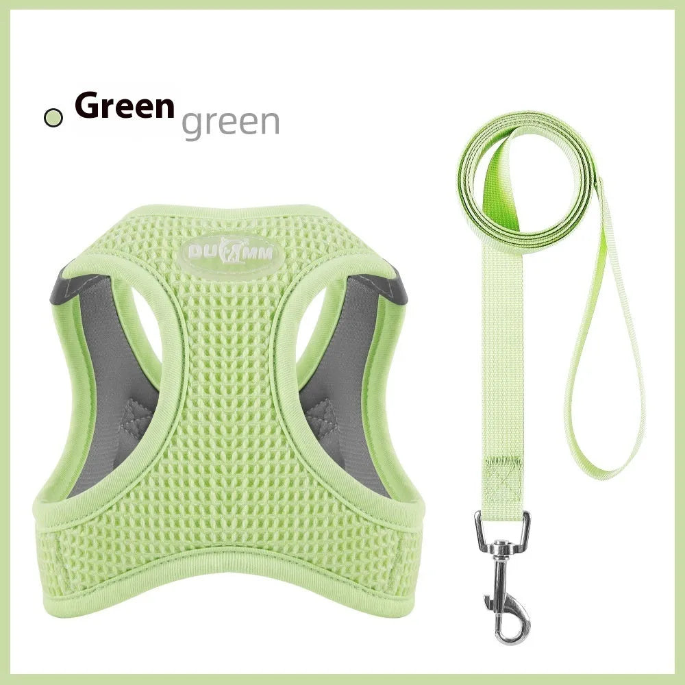 Cloth cat harness with chest strap and hand-holding rope in brown, green, purple colour options