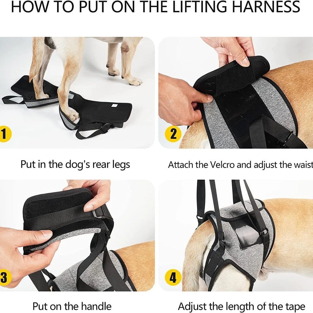 Grey neoprene dog rear leg recovery belt with adjustable waist and thigh straps