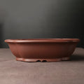 Handmade purple clay bonsai pot measuring 25cm by 20cm in classical Chinese style