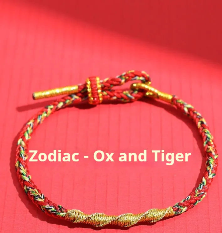 Hand-woven eight-strand colourful guardian strap bracelet with flexible wire and zodiac specific colours