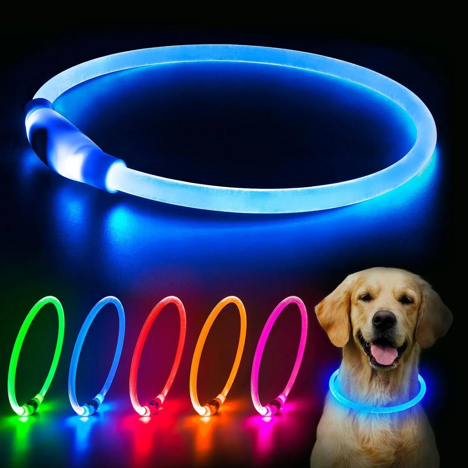 Blue USB rechargeable LED dog collar glowing around a dog's neck at night.