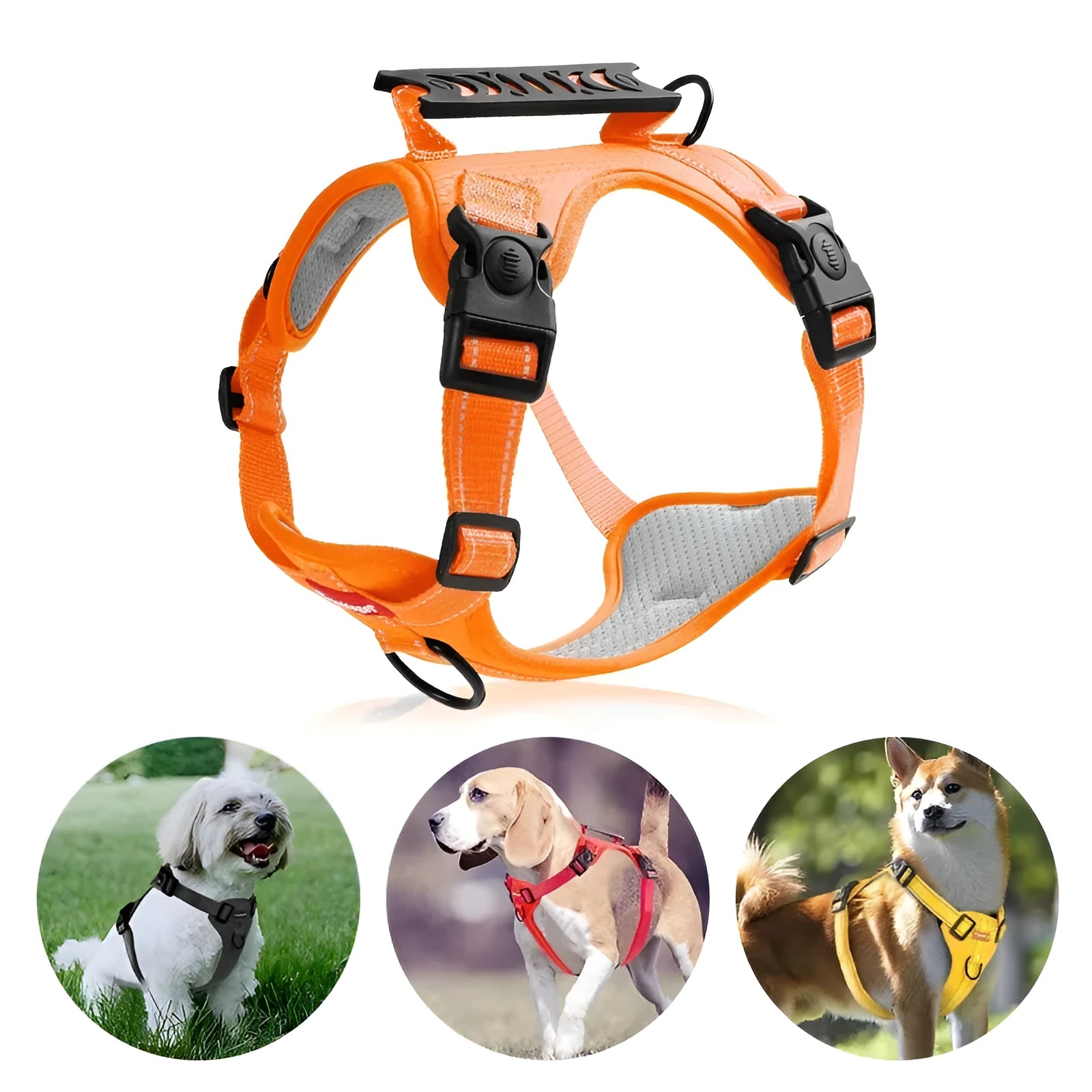 Polyester dog chest harness and lead set in multiple colours including Lake Blue, pink, and yellow