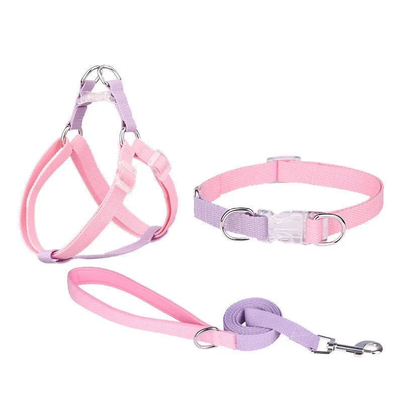 Polyester dog collar set with hand holding rope and chest strap in coordinated colour combinations