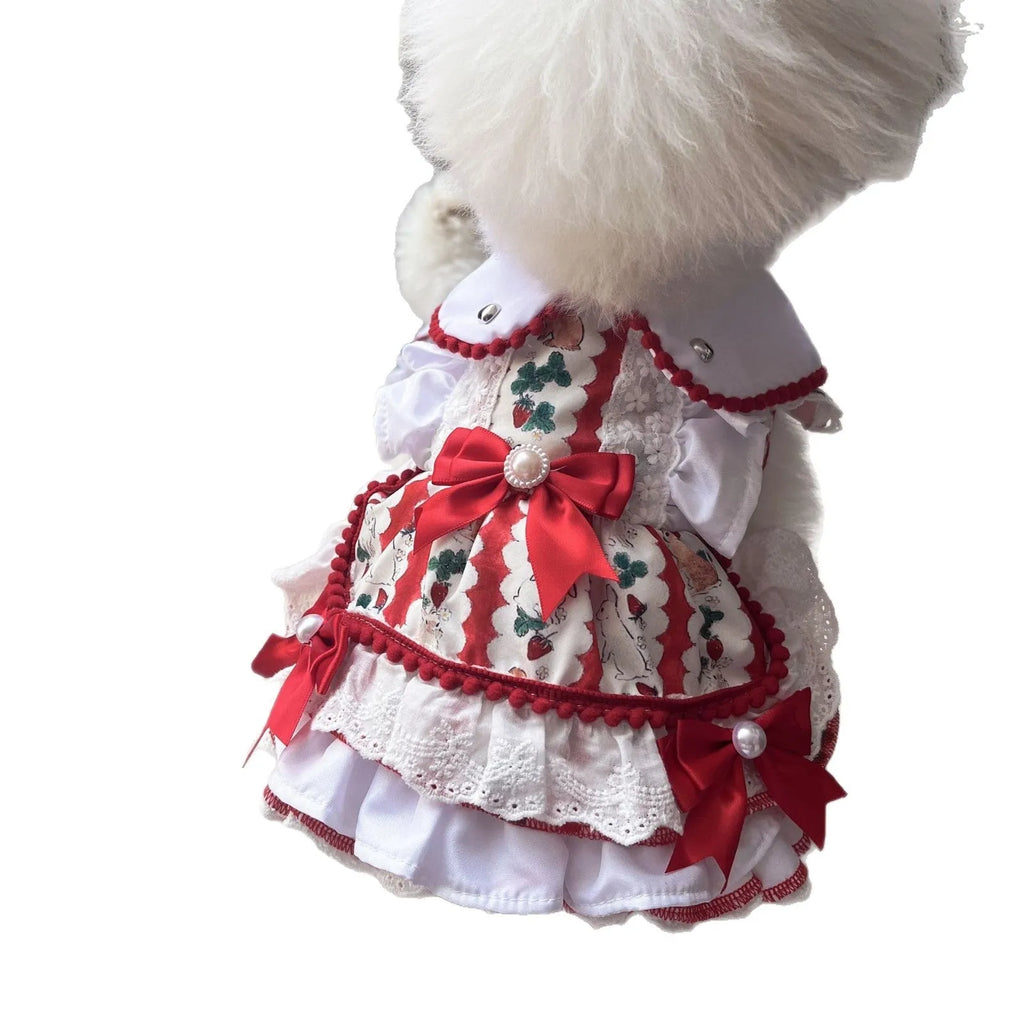 Polyester rabbit skirt dog clothes princess style costume on small dog showing chest and back measurements