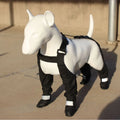 Black waterproof non-slip dog shoes or paw protectors for small to large breed dogs.
