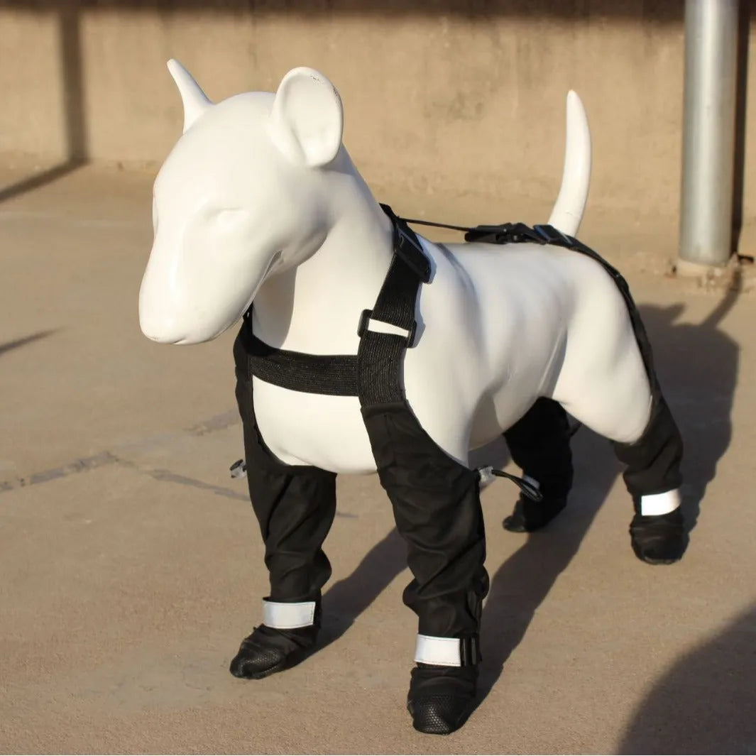 Black waterproof non-slip dog shoes or paw protectors for small to large breed dogs.