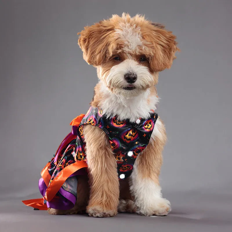 Halloween dog skirt with colourful pumpkin or skull print in polyester fabric