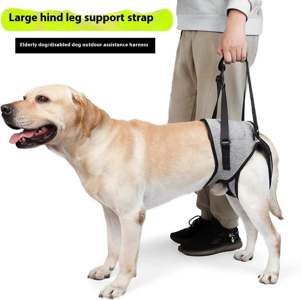 Grey neoprene dog rear leg recovery belt with adjustable waist and thigh straps