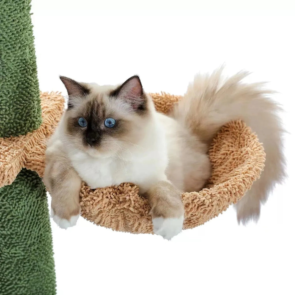 Tall solid wood cat tree with scratching posts, platforms, an enclosed cat nest, and a hanging toy.