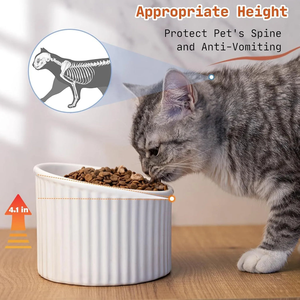 Dark green ceramic elevated cat bowl with tilted design on a wooden surface.
