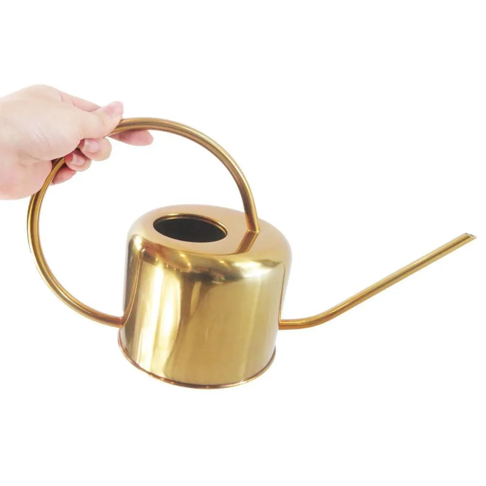Stainless steel watering can with long spout, 2 litre capacity, shown in choice of colours