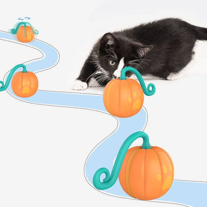 Electric cat luminous ball toy in watermelon or pumpkin design with automatic rotation
