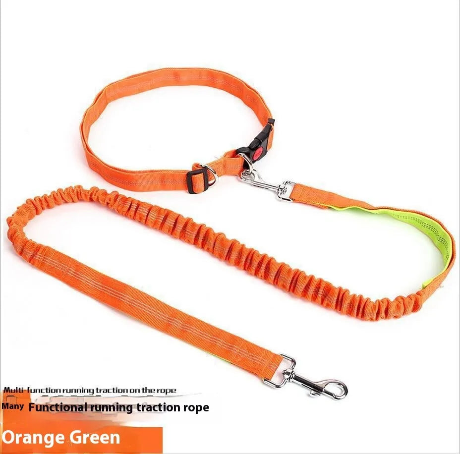 Grey and green elastic dog leash with reflective elements for night visibility during outdoor running