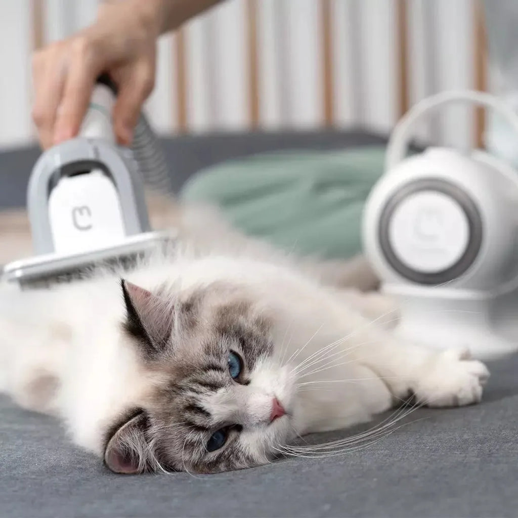 White pet grooming clippers with electric scissors and multiple attachments on blue background