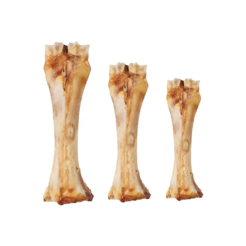 Large molar rod dog chew for puppies, roasted ox bone flavour, teeth cleaning training reward
