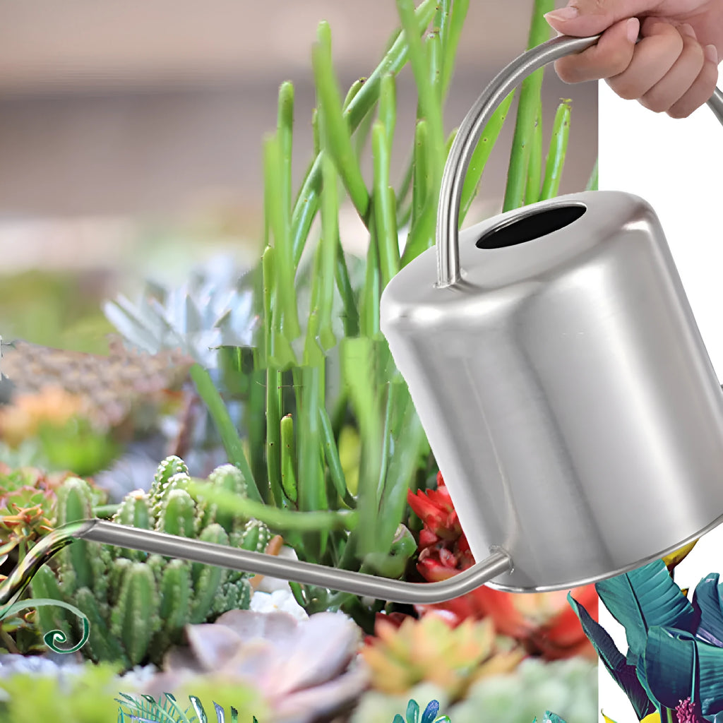 Stainless steel watering can with long spout, 2 litre capacity, shown in choice of colours