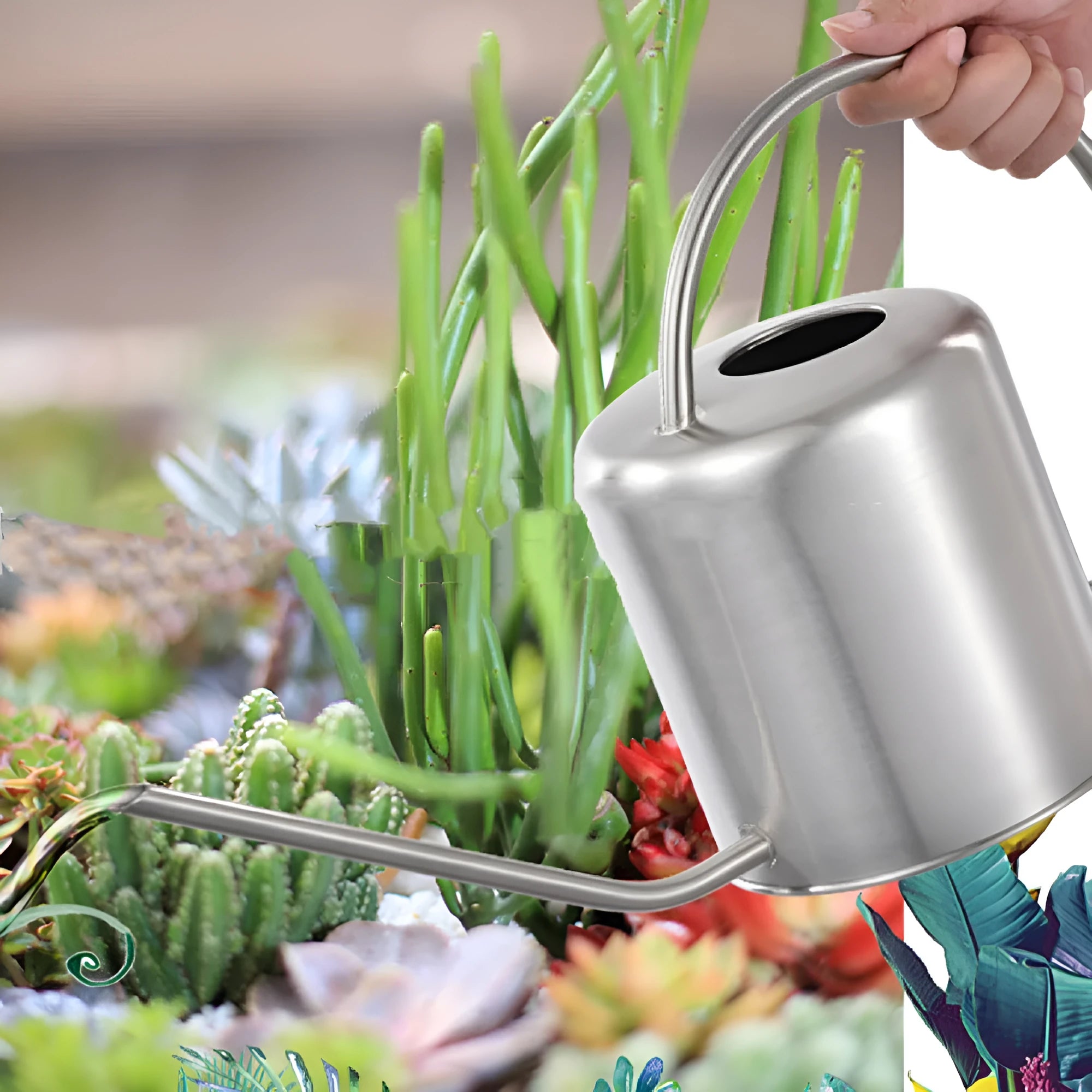 Stainless steel watering can with long spout, 2 litre capacity, shown in choice of colours