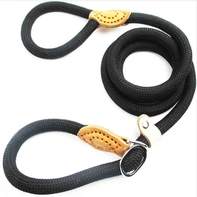 Brown nylon dog leash with P chain hand holding rope, shown at full 2.1 metre length.