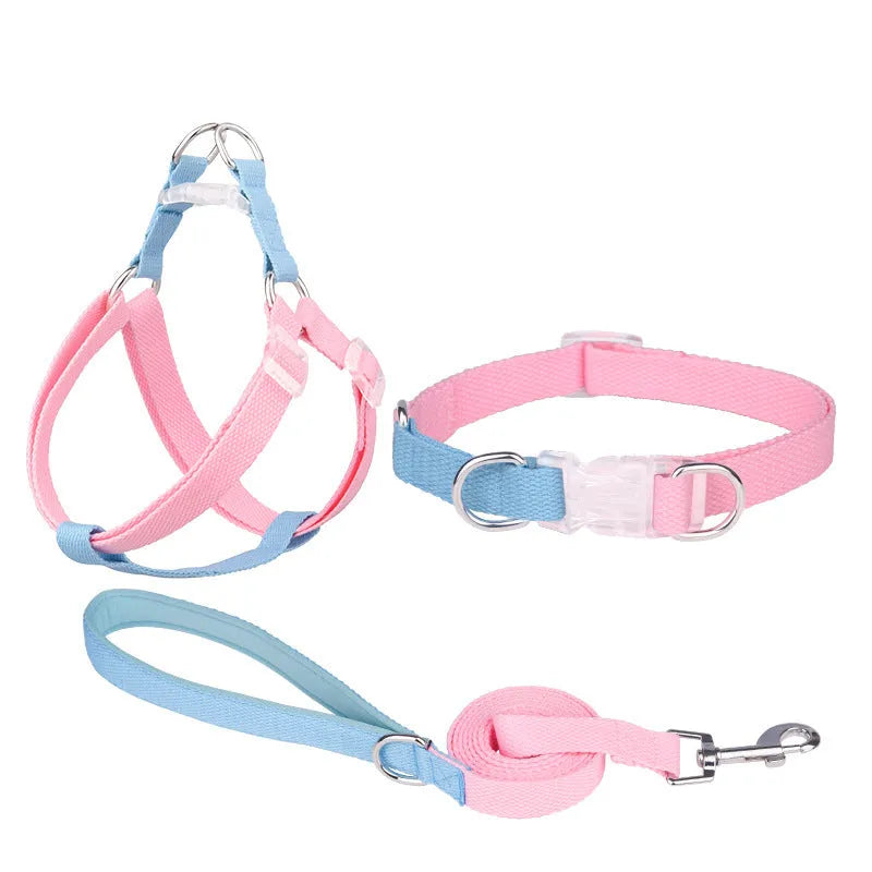 Polyester dog collar set with hand holding rope and chest strap in coordinated colour combinations
