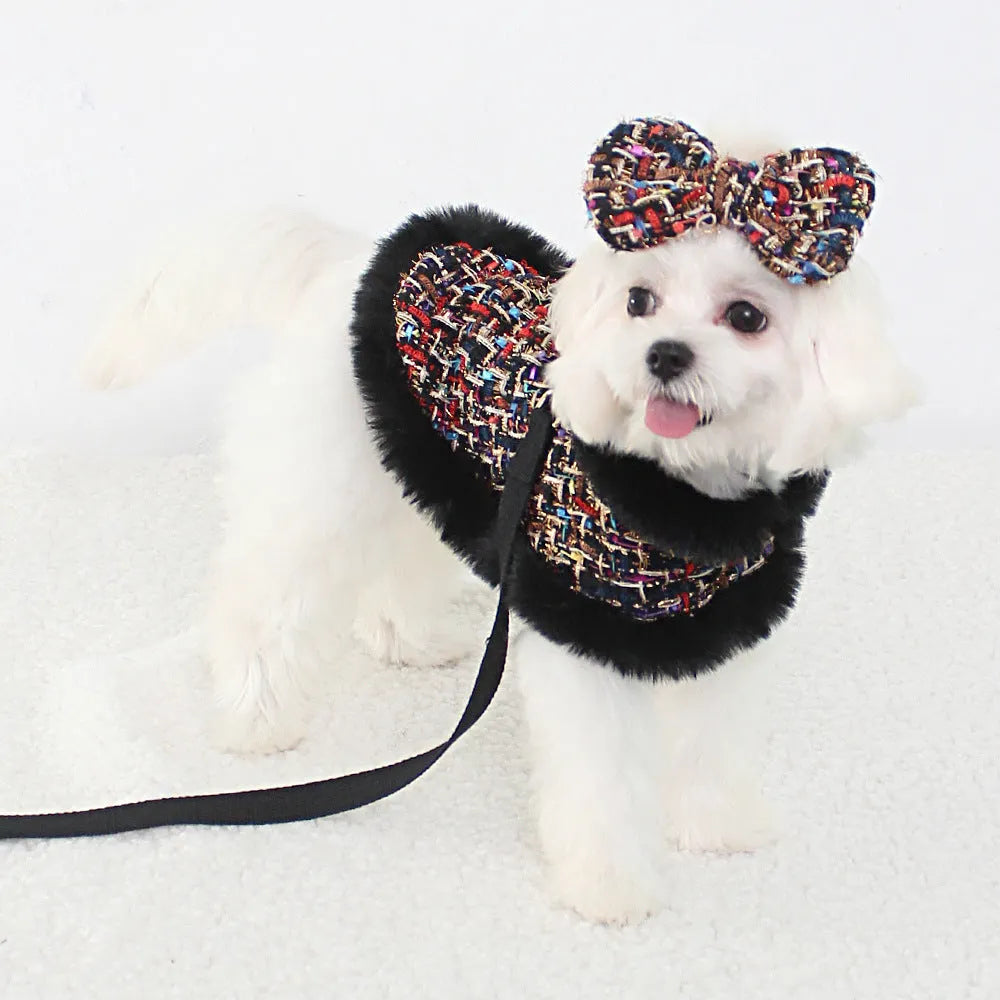 Dog wearing classic cloak with chest strap and attached hand holding rope
