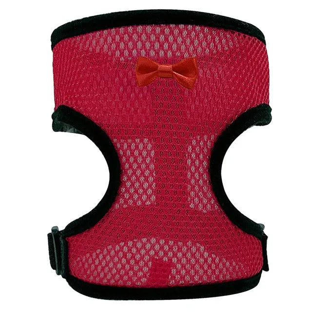 Chicken wearing mesh harness vest with decorative collar and control rope