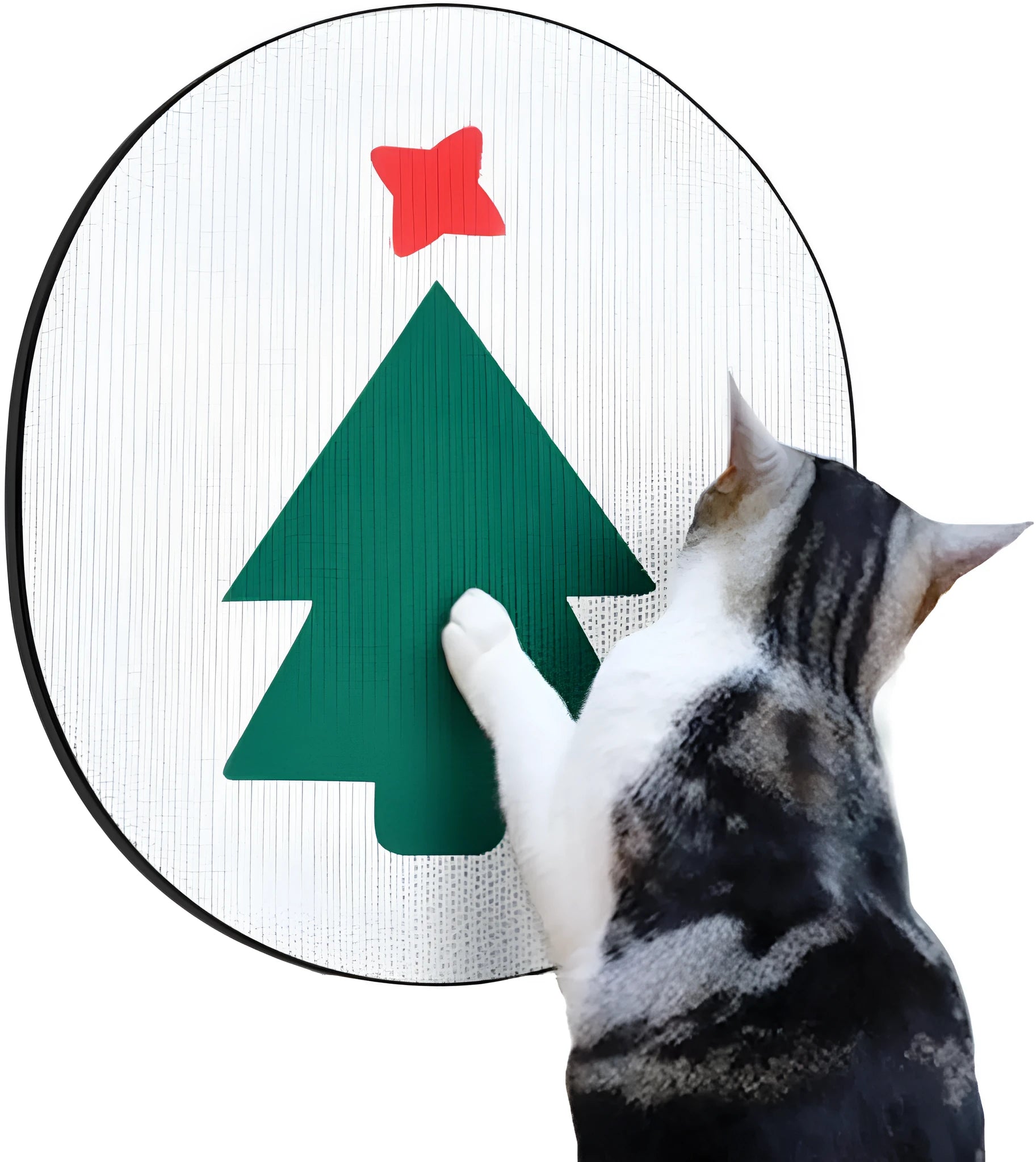 Wall mounted cat scratcher pad with corrugated cardboard surface measuring 35x44 cm
