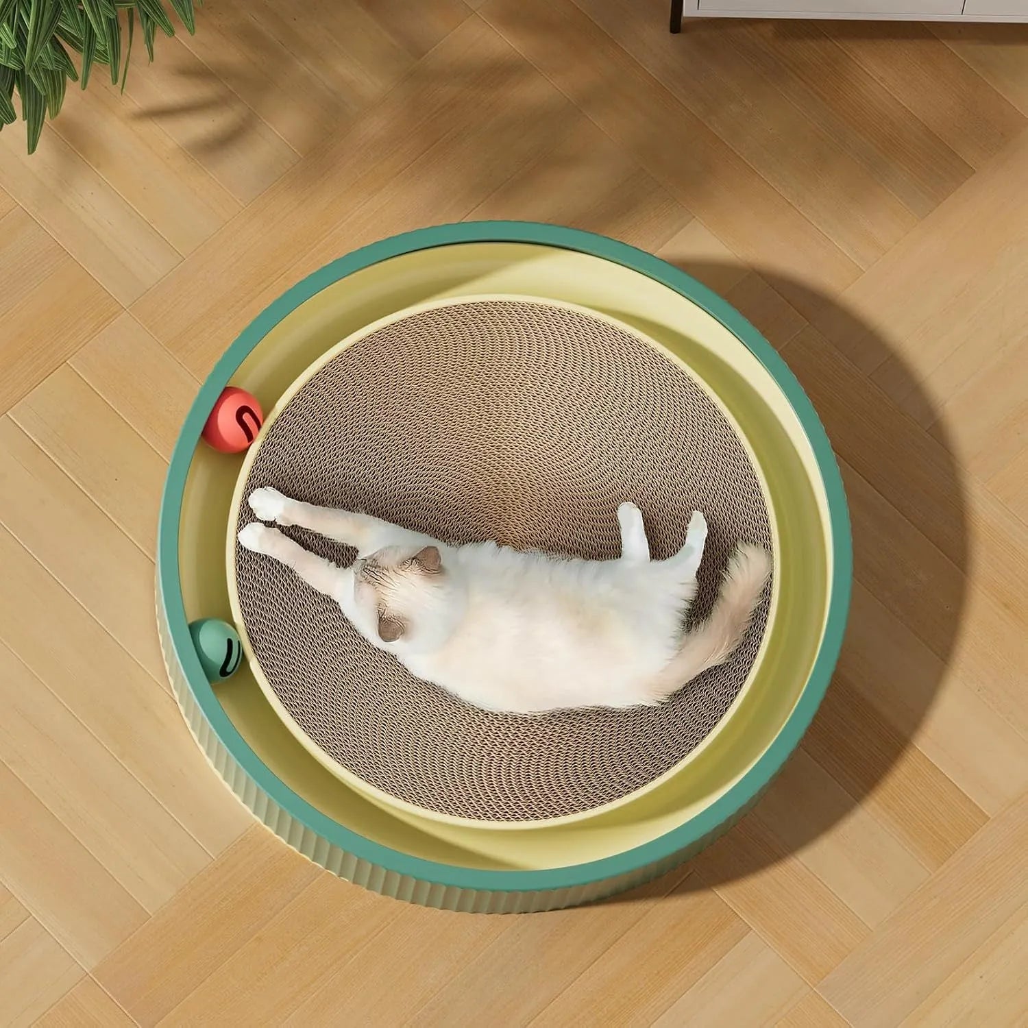 Large green circular cat scratching board with ball toys and a white replaceable core for indoor cats