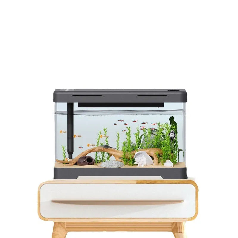 Acrylic fish tank transparent lazy design classic black bare cylinder aquarium