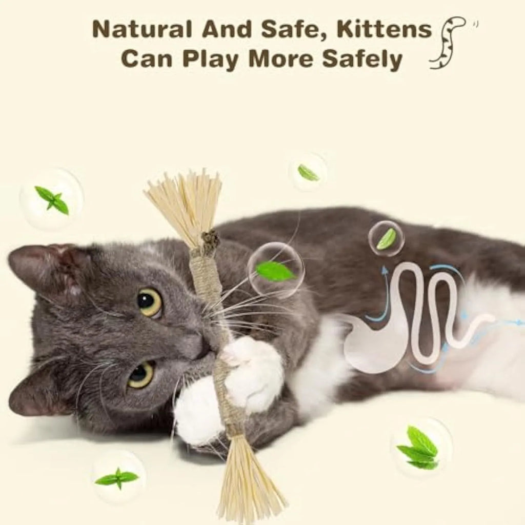 3 natural silvervine chew sticks for cats with sisal rope and raffia dental care toy
