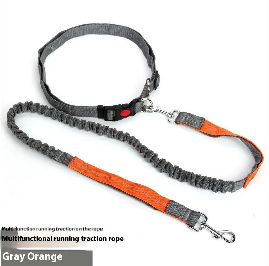 Grey and green elastic dog leash with reflective elements for night visibility during outdoor running