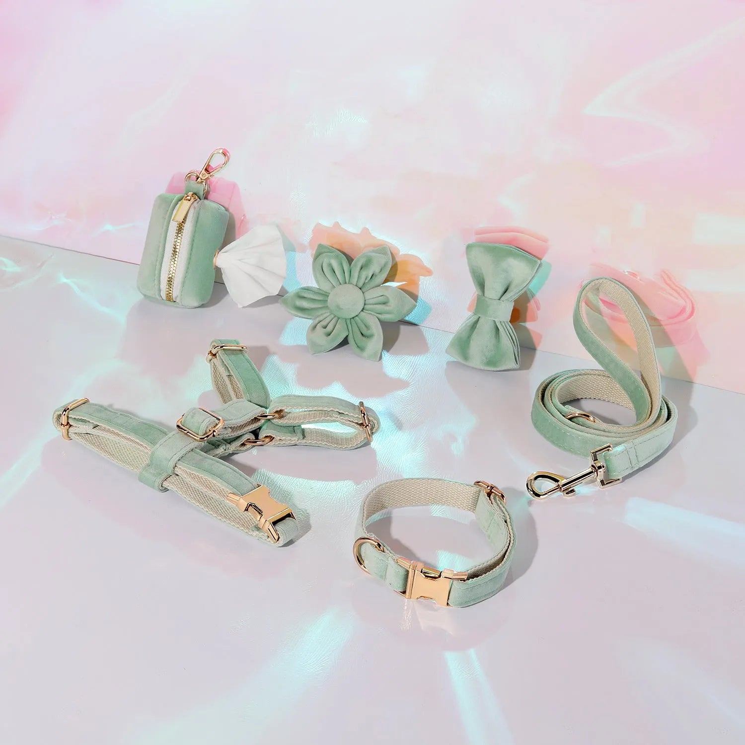 Classic velvet pet collar and traction rope set with matching bow tie, flower and accessories