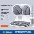 Japanese style waist support seat cushion with lumbar pillow design in grey colour