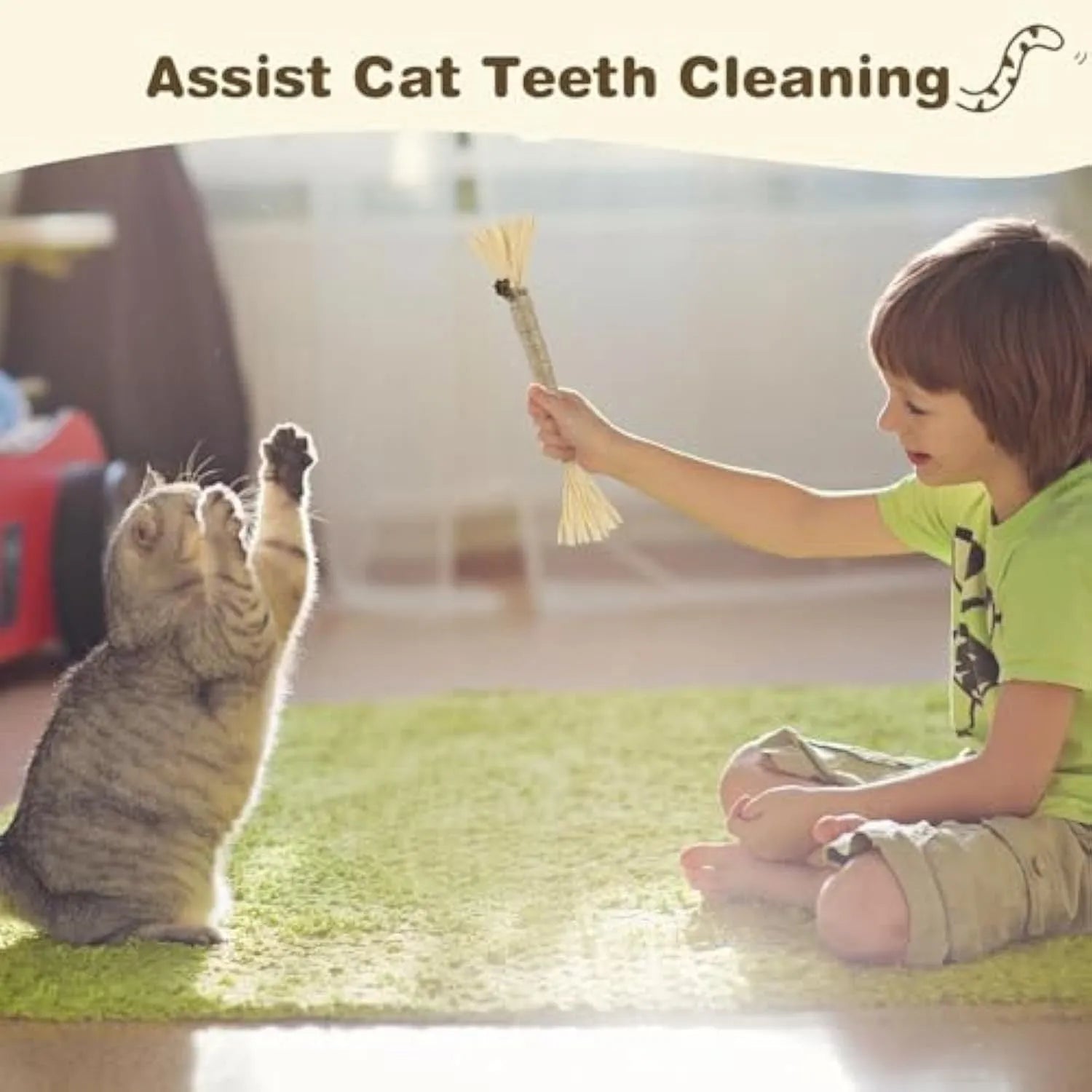 3 natural silvervine chew sticks for cats with sisal rope and raffia dental care toy
