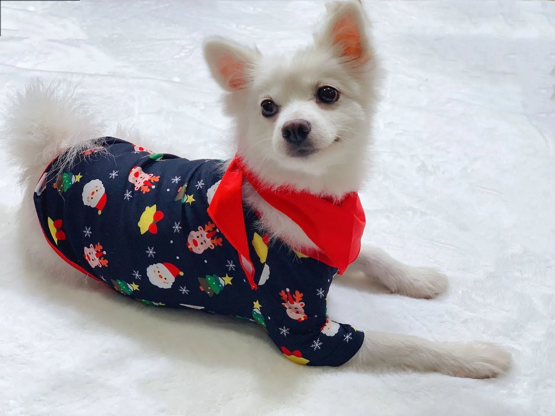 Family matching Christmas pyjamas set in cotton with plaid and cartoon prints for parents, children and dogs