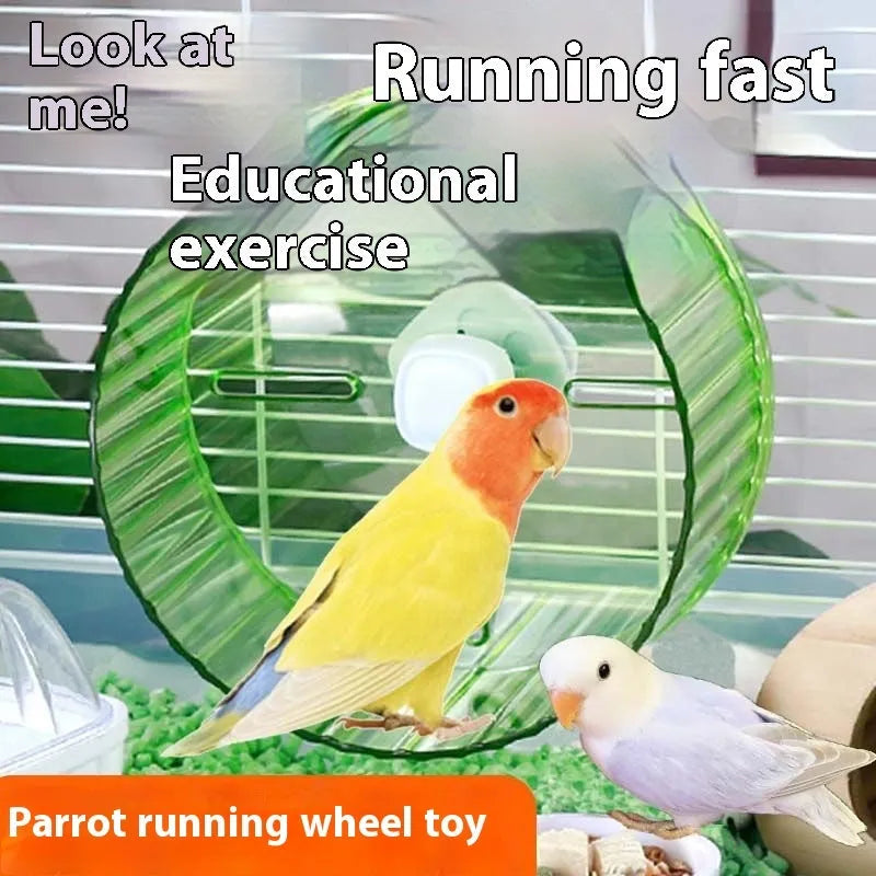Plastic parrot running wheel toy in transparent colour showing circular treadmill design