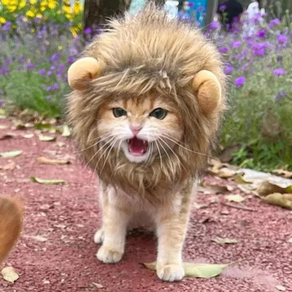 Lion mane wig costume with plush ears on a cat, showing adjustable elastic band and fluffy artificial hair.