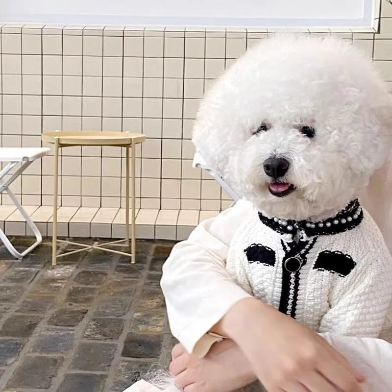 Korean style puppy sweater with pearl collar for small dogs, available in black and white