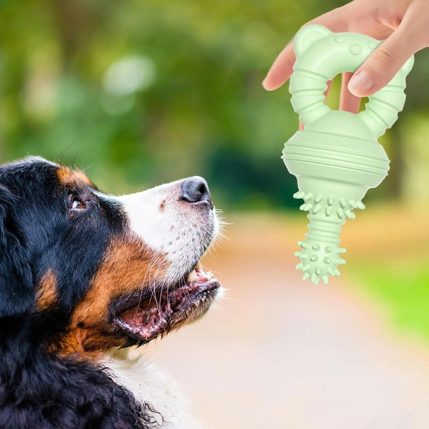Blue rubber dog chew toy with bell and concave-convex molar design for teeth cleaning.